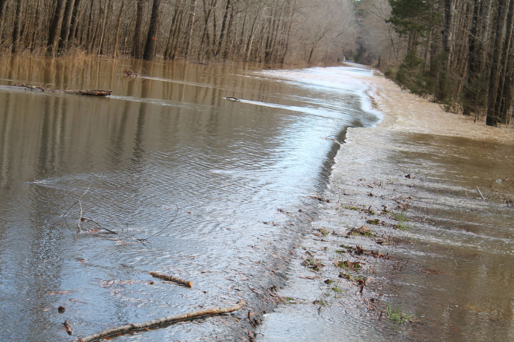 Wolftrap Road Friday.JPG